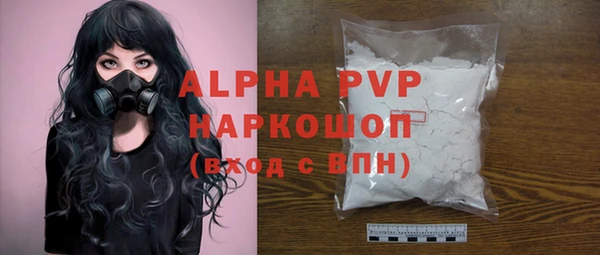спиды Бородино