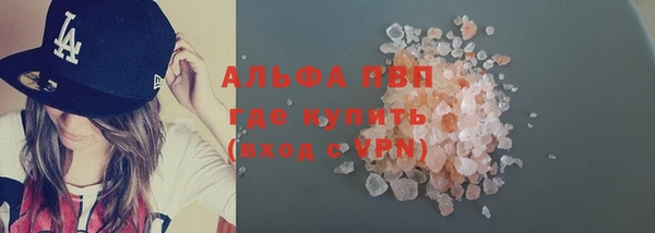 спиды Бородино