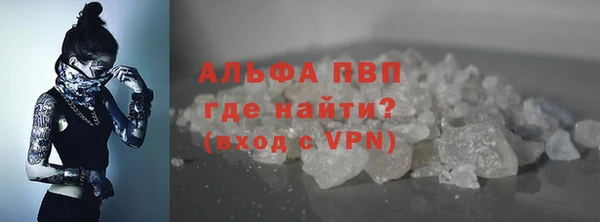 спиды Бородино