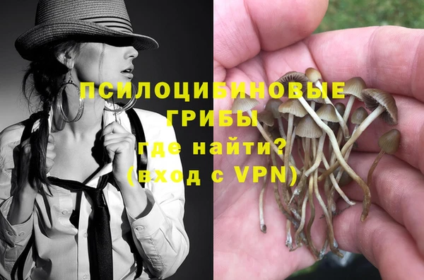 спиды Бородино