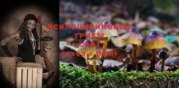 синтетический гашиш Протвино