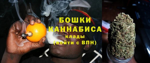 спиды Бородино