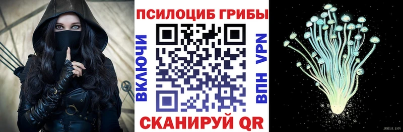 Галлюциногенные грибы Psilocybe  купить  сайты  гидра зеркало  Тбилисская 