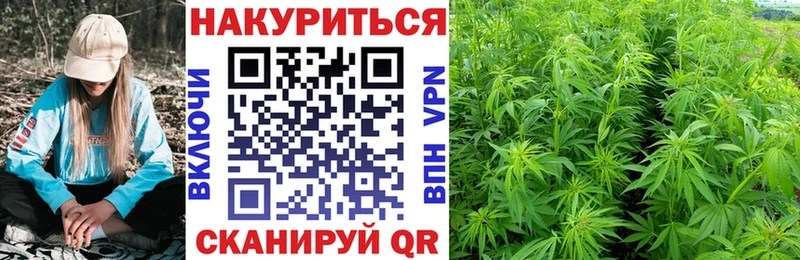 Марихуана гибрид Тбилисская